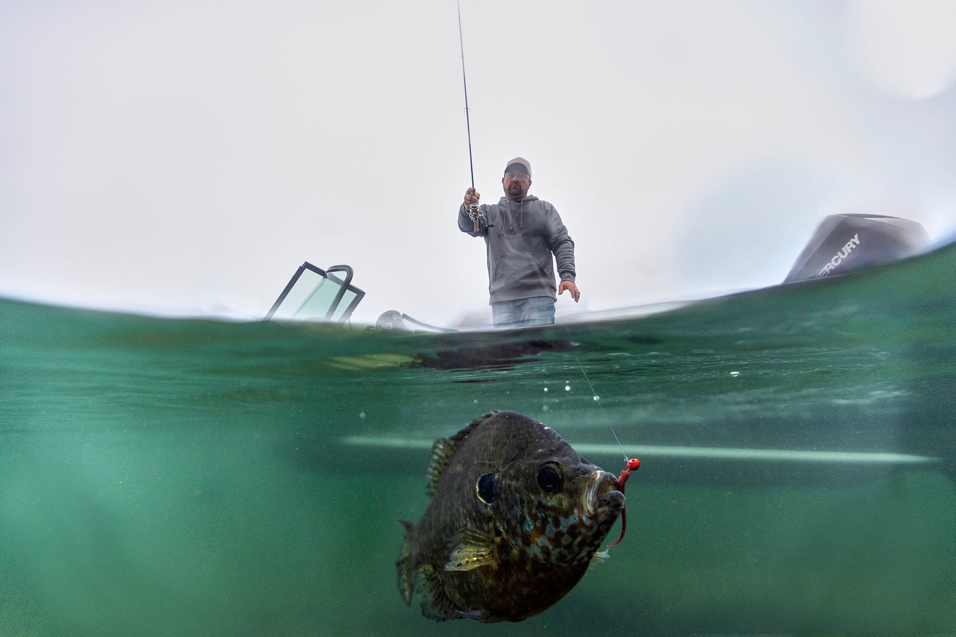 Avid Series Panfish