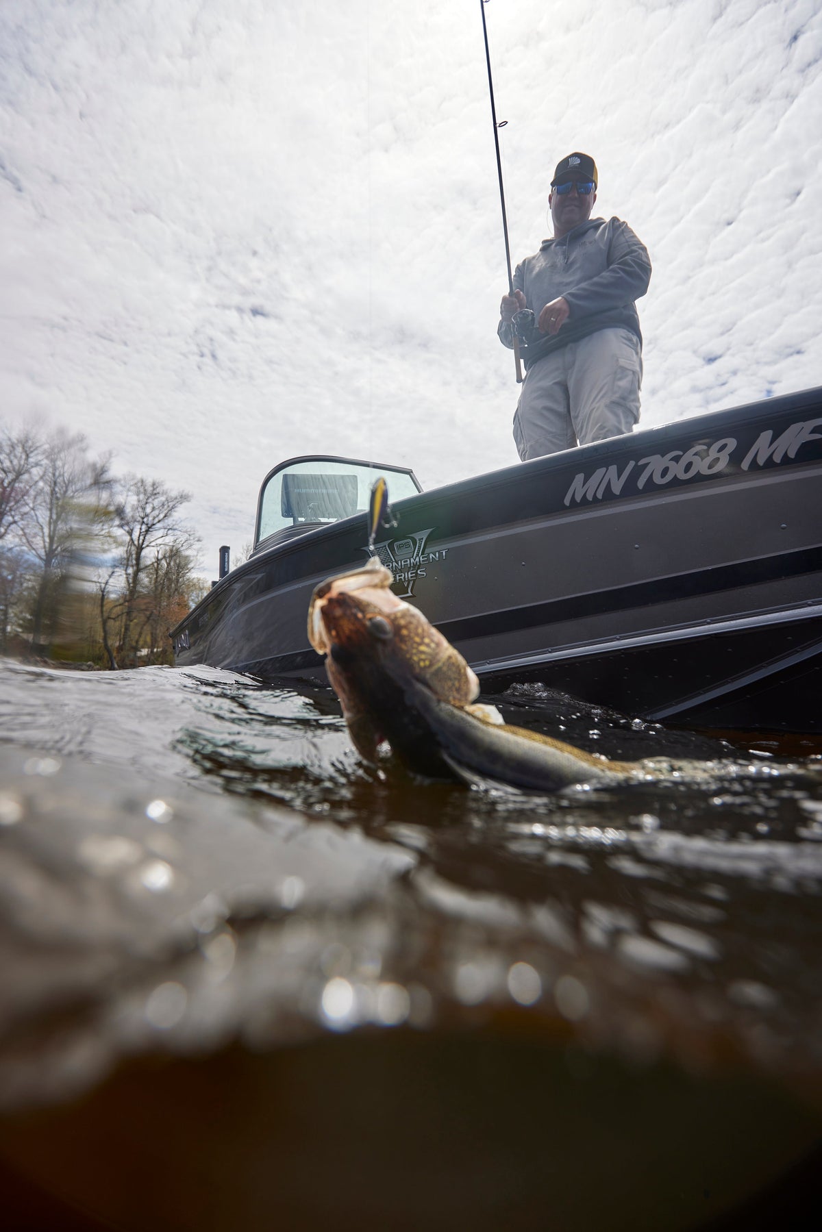 Avid Series Walleye