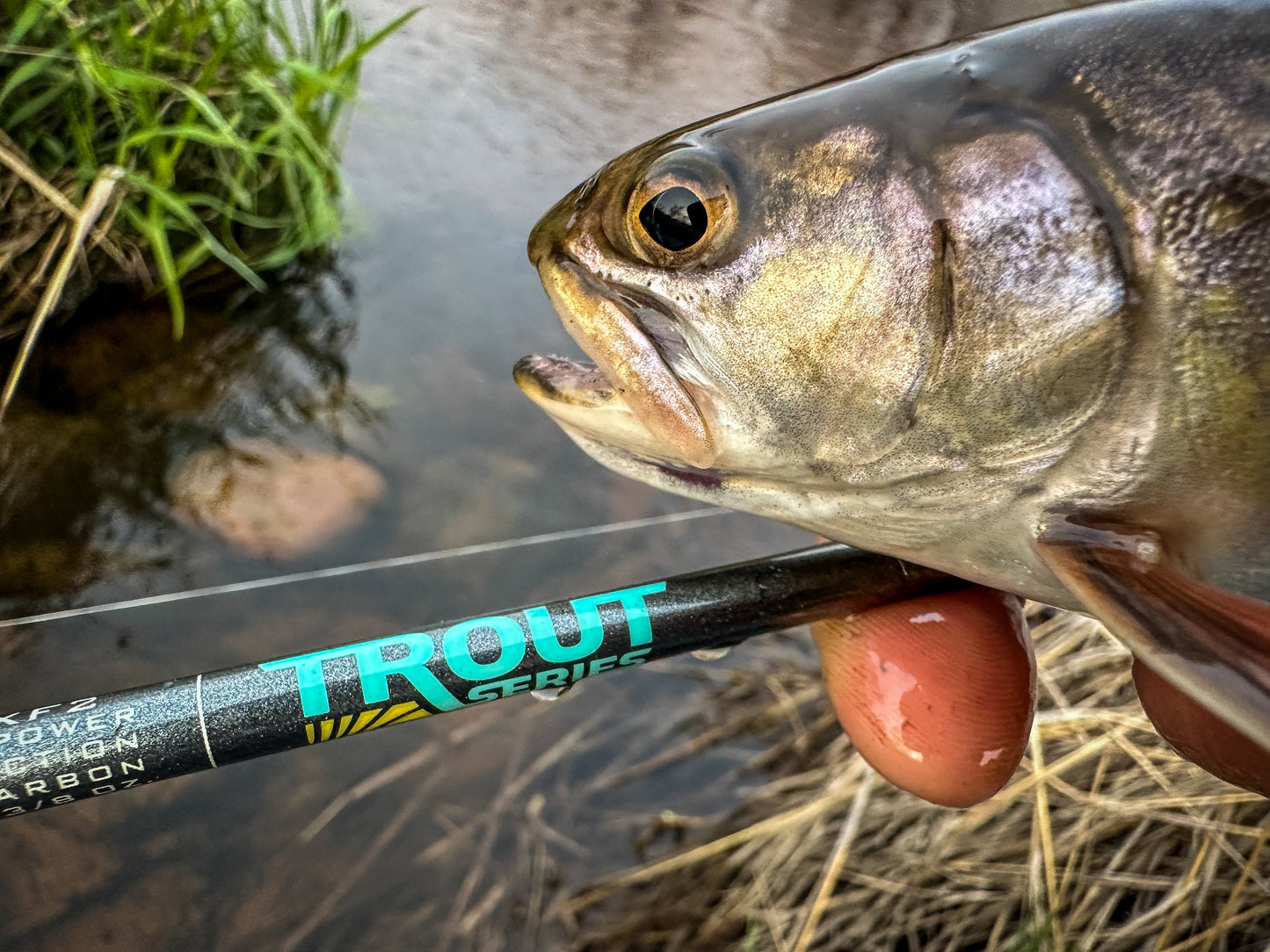 Trout Pack