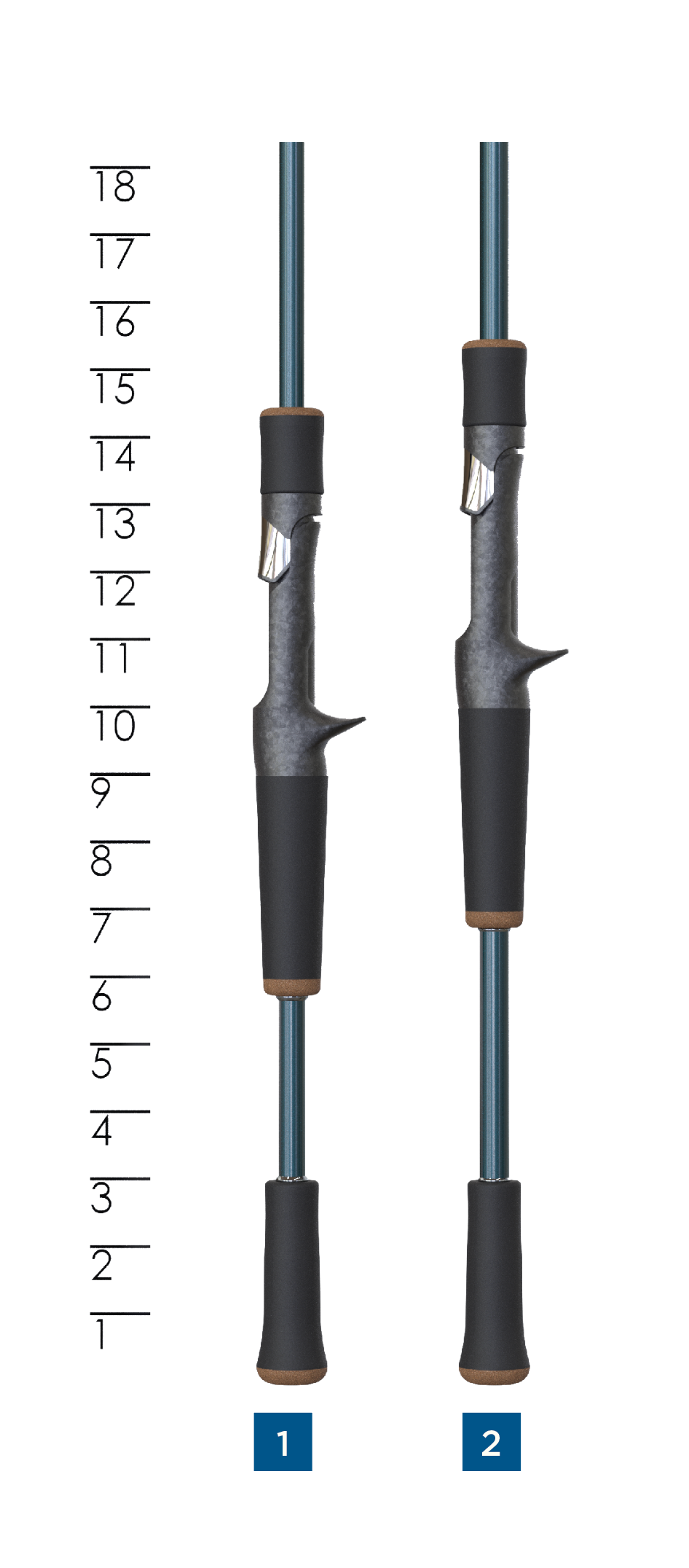 Rayfin