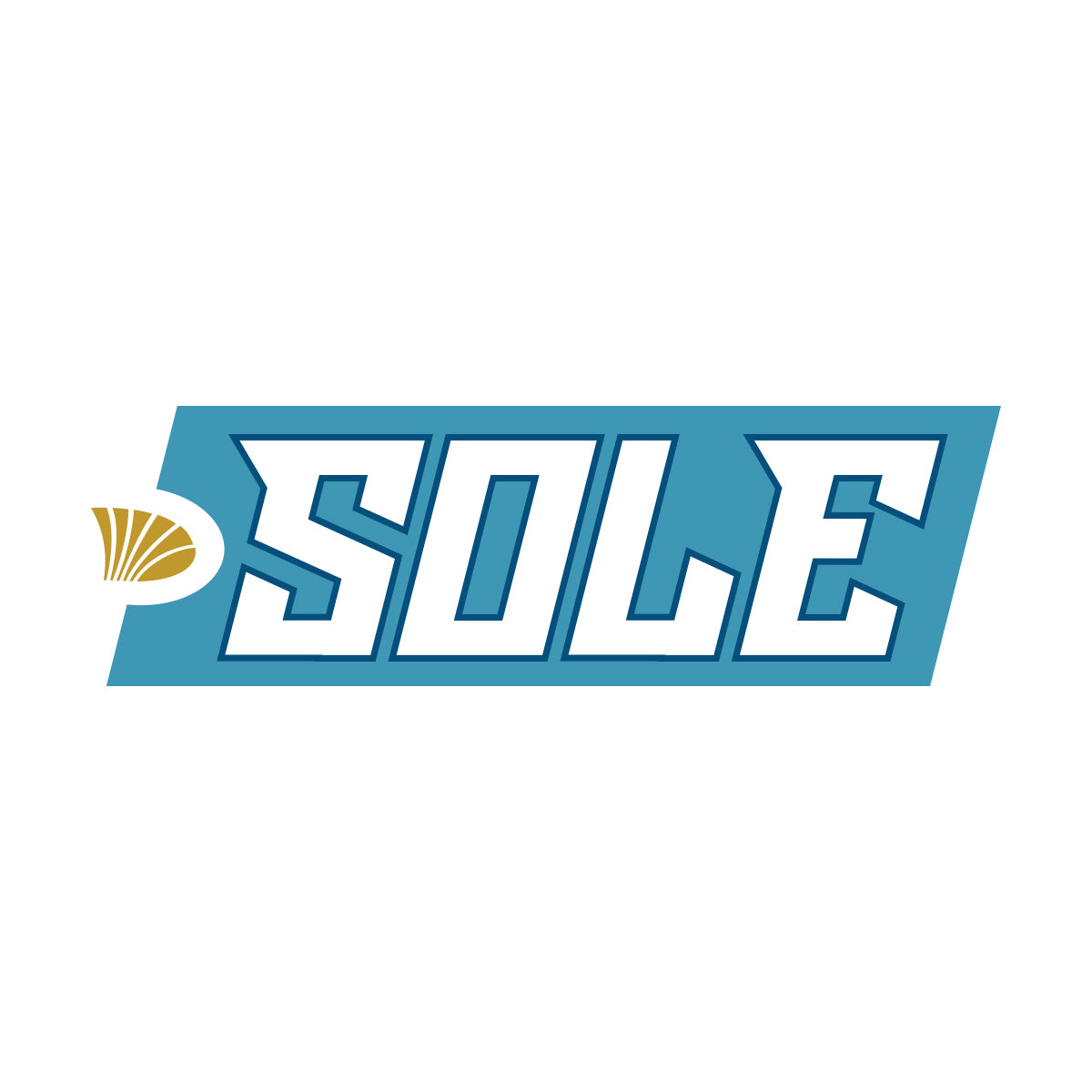 Sole Saltwater